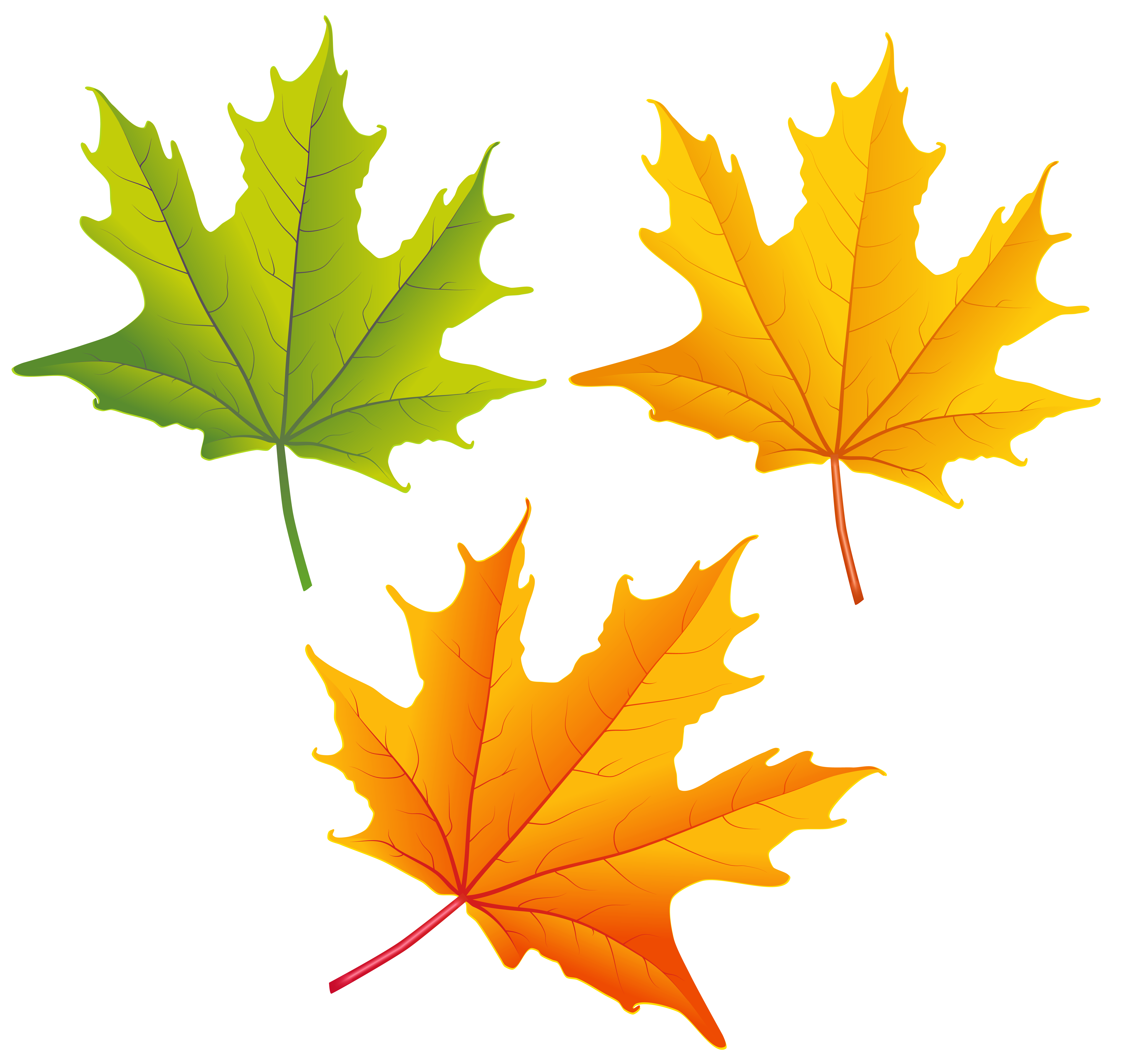 Free Fall Leaves Clip Art Download Free Fall Leaves Clip Art Png 