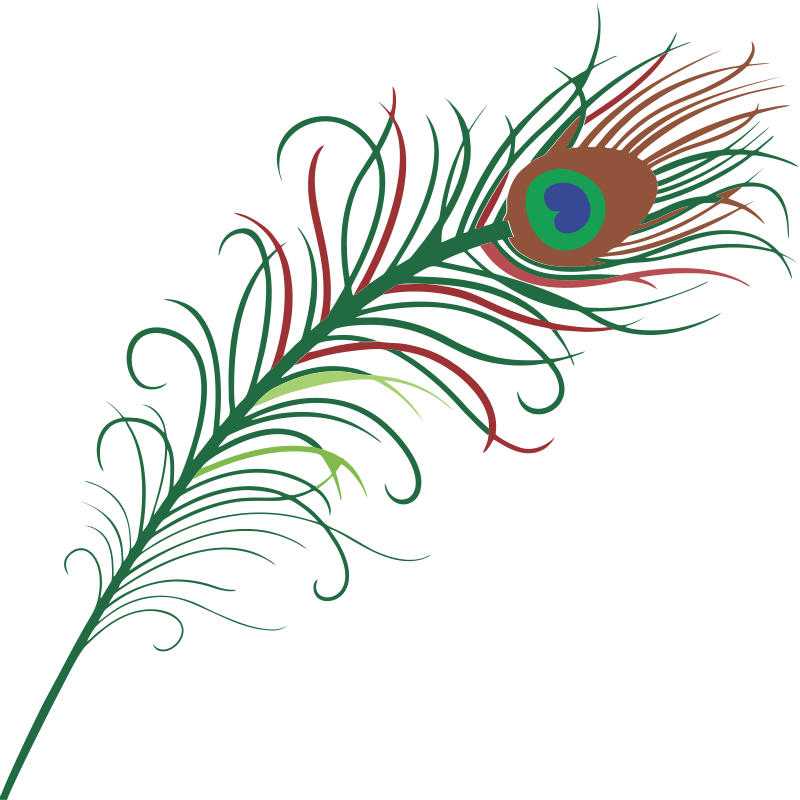 This peacock feather clip art  Free Clipart Images