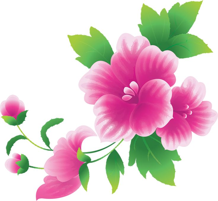 Free Flower Clipart Download Free Flower Clipart Png Images Free