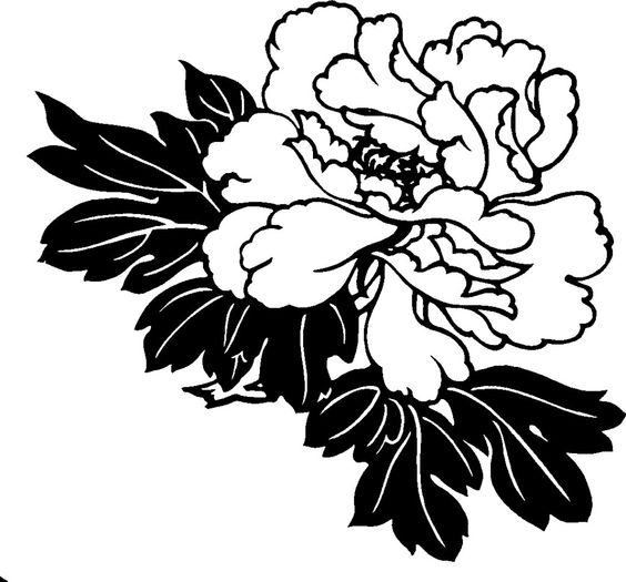 Floral hawaiian flower clipart black and white