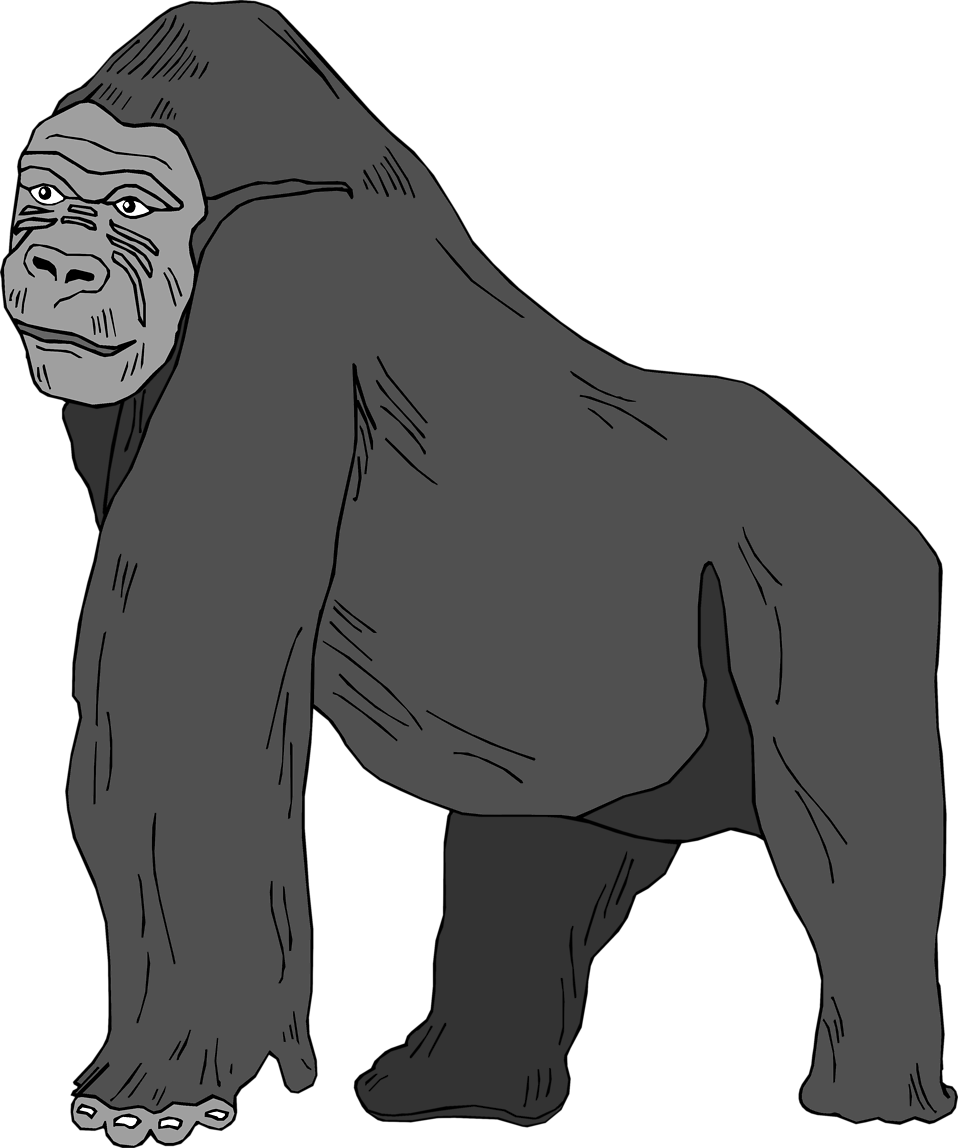 Gorilla Clip art 