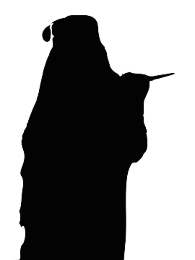 The Harry Potter Character From Their Silhouette