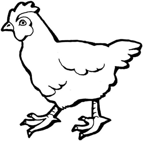 Animal Clipart Hen 