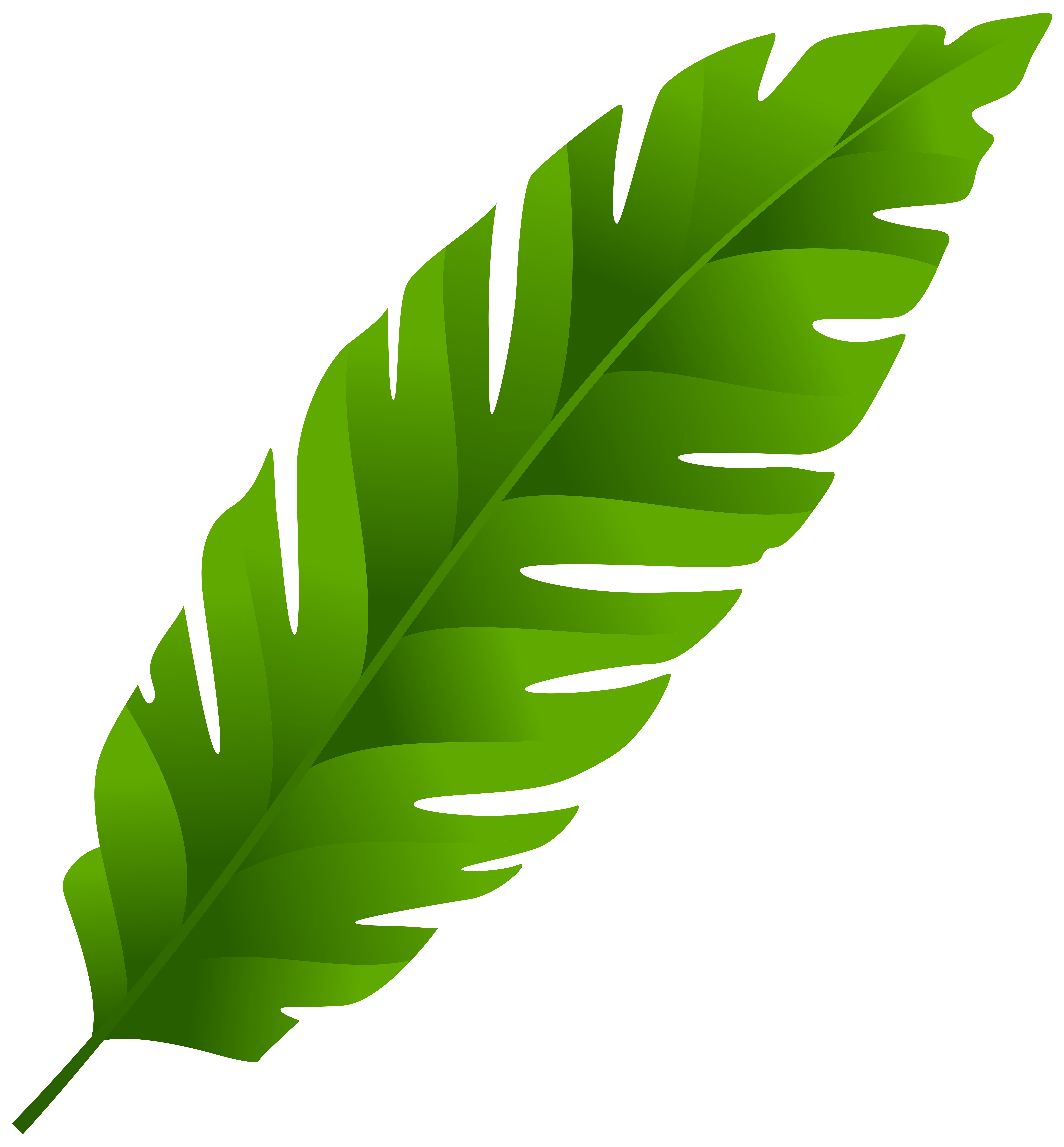 Banana Leaves Clipart 