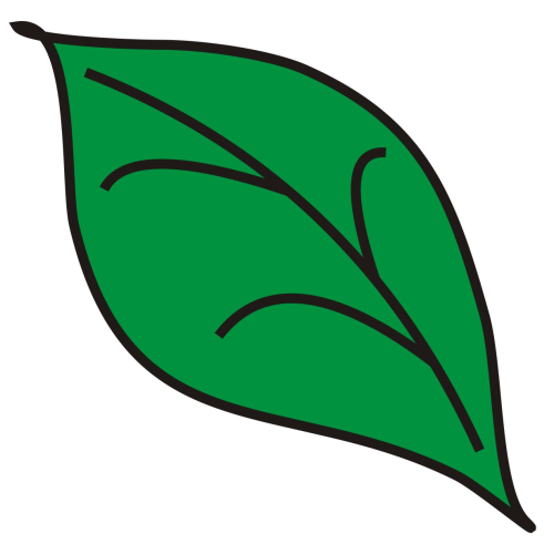 Leaves Ash Leaf Clipart Clipartbold Clipartix Clipartix_clipartix