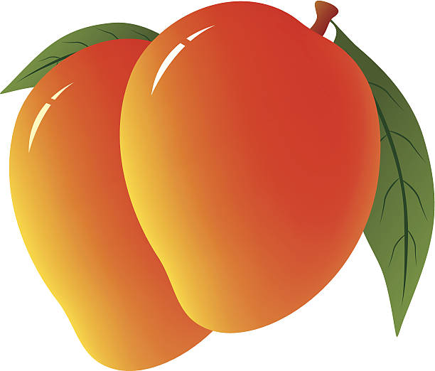 Clipart Images Of Mango Clip Art Library
