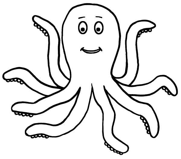 Octopus black and white  coloring template