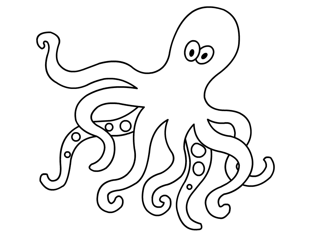 Octopus clipart template 