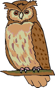 Owl Clip Art Free Cute Clipart Panda Free Clipart Images_images