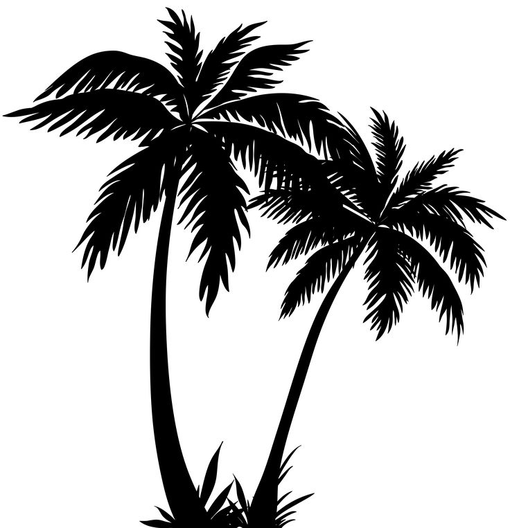 Ideas about palm tree clip art on tree 5 ClipartAndScrap