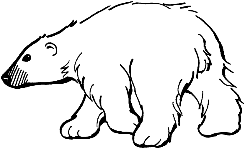 Black clipart polar bear