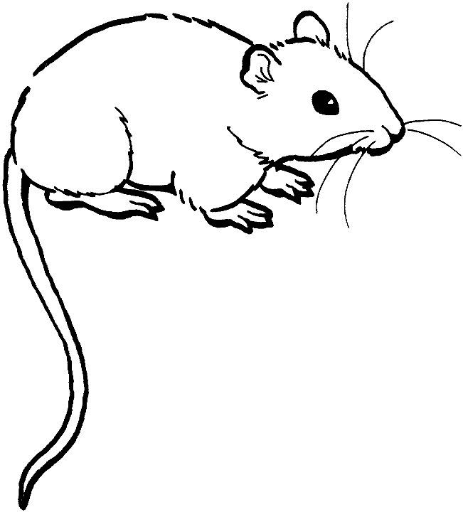 Free Rat Black And White Clipart, Download Free Rat Black And White