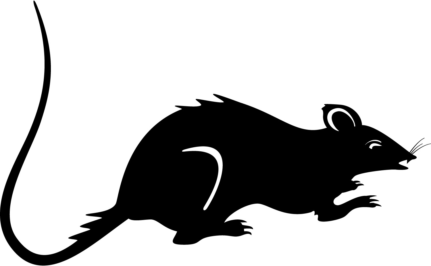 Free Rat Clipart Black And White, Download Free Rat Clipart Black And