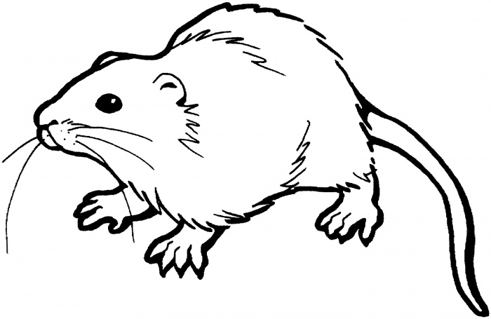 Free Rat Clipart Black And White, Download Free Rat Clipart Black And