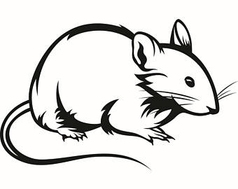 Free Rat Clipart Black And White, Download Free Rat Clipart Black And