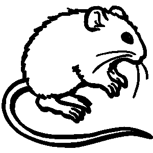 Free Rat Clipart Black And White, Download Free Rat Clipart Black And