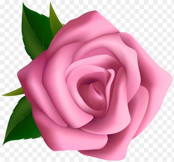 Pink Rose Clipart Pencil And In Color Pink Rose Clipart_moziru