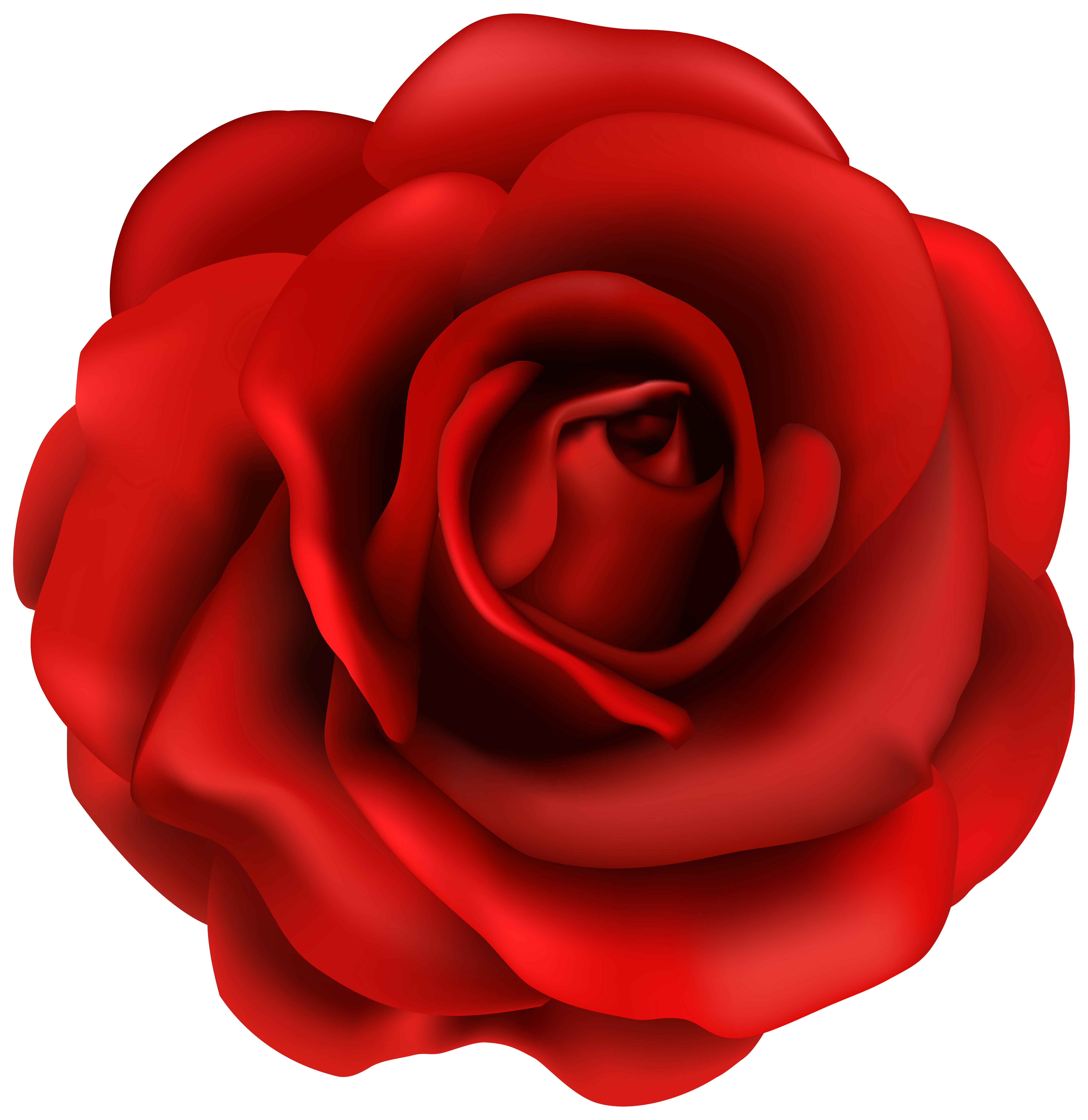 Red Rose Flower Clipart Image Cliparting