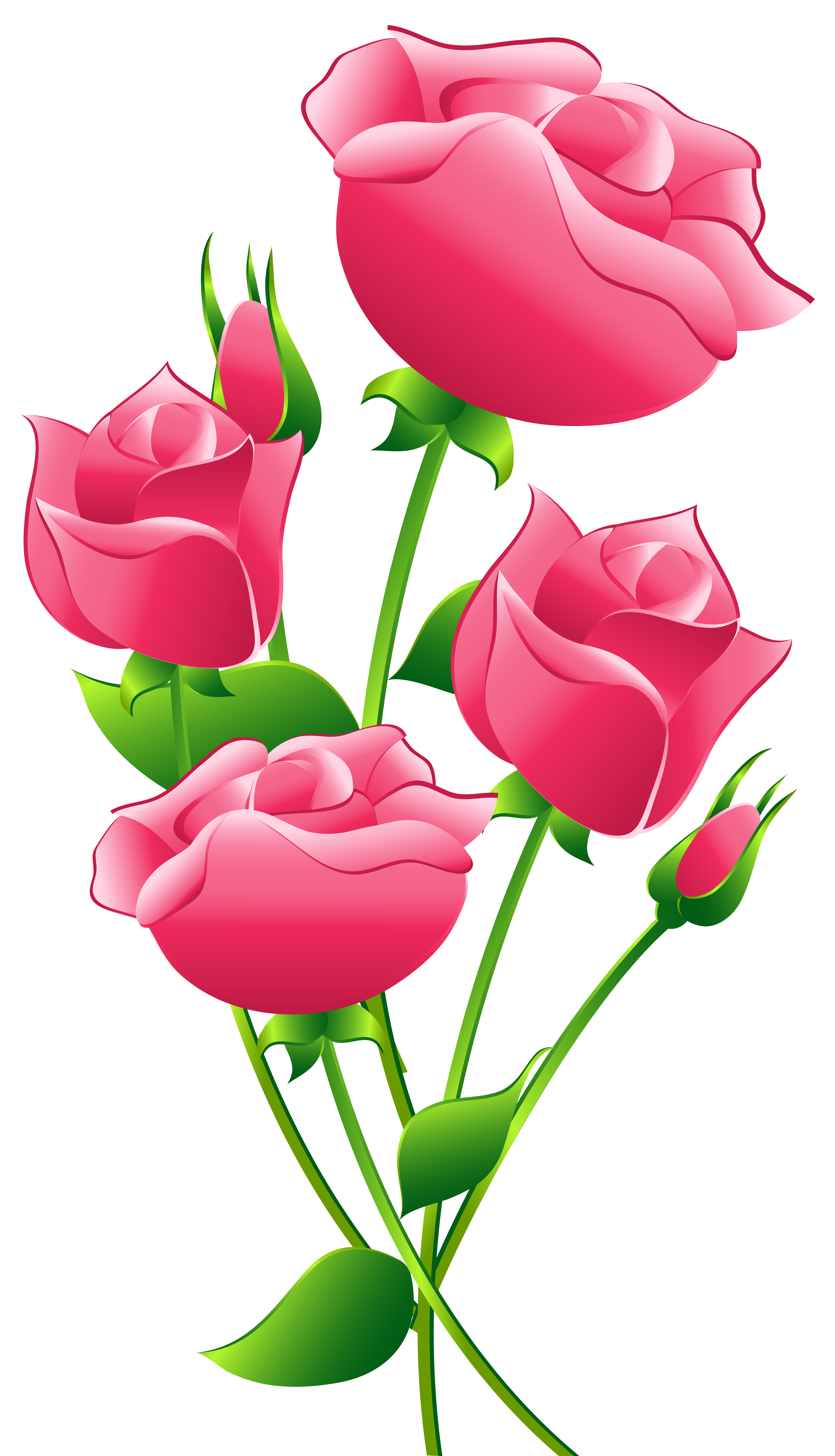 Pink Roses Transparent PNG Clip Art