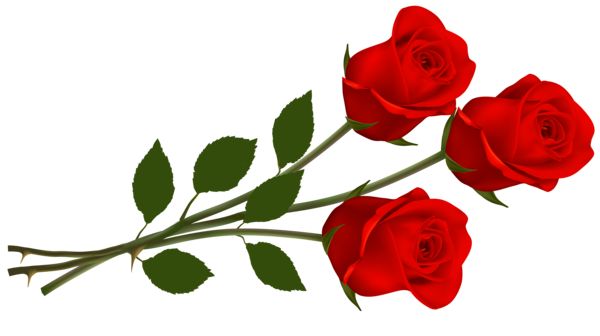 Red roses for you