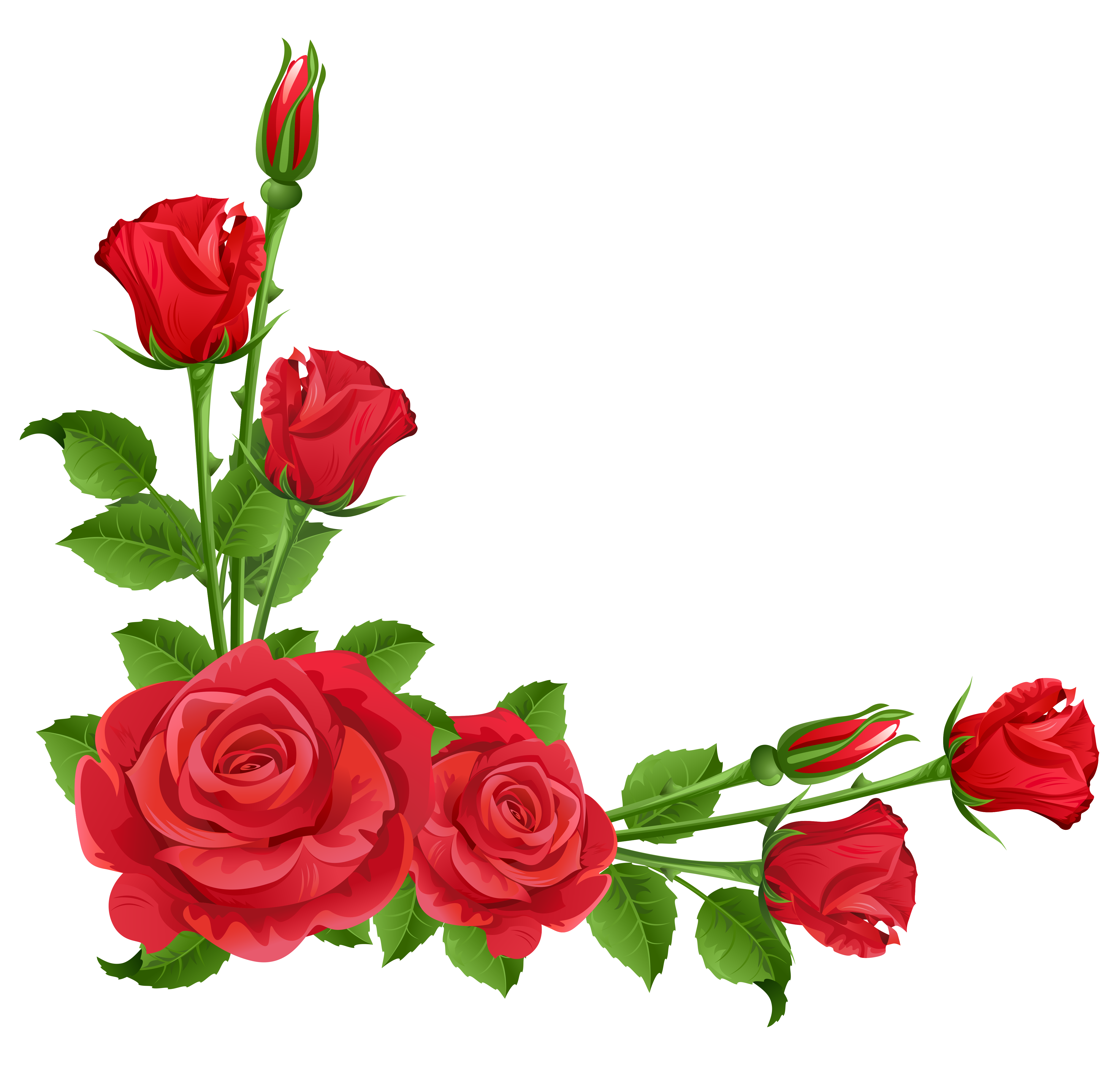 Red Roses Transparent PNG High 