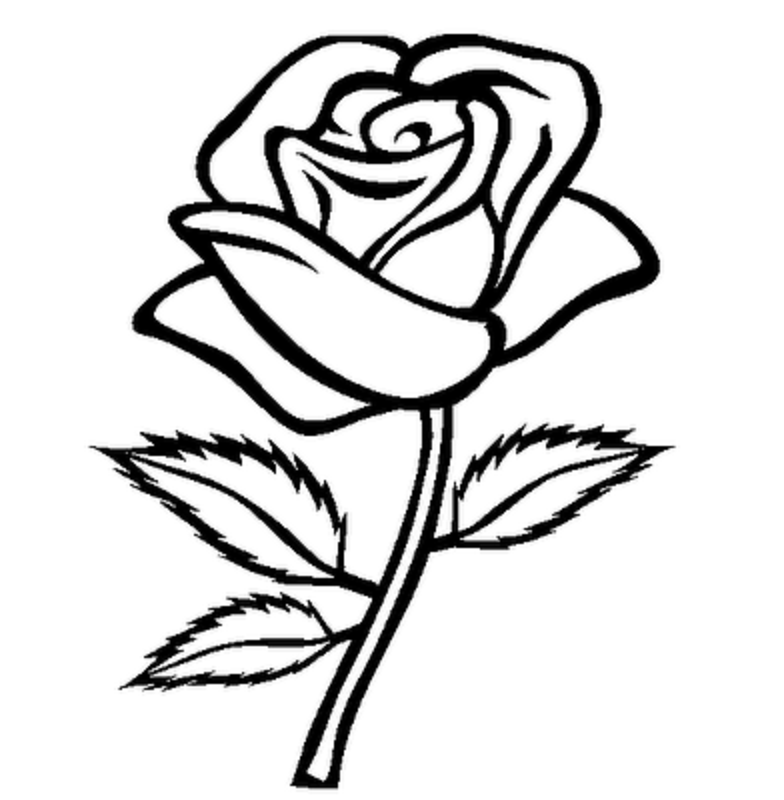 Rose flower clipart black and white  