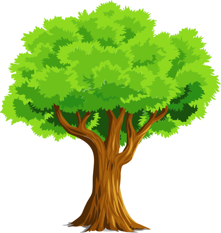 Free To Use Amp Public Domain Trees Clip Art_www
