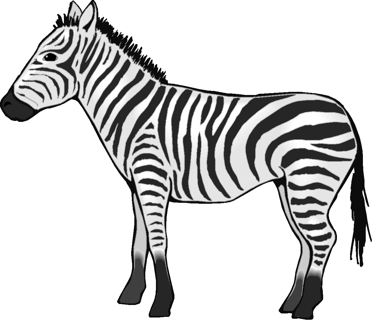Zebra clip art image black and white  