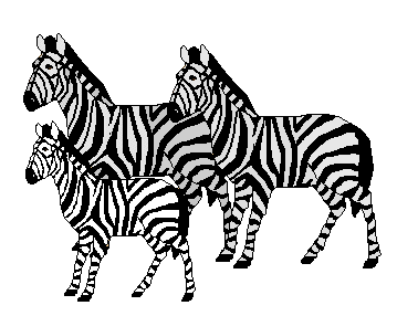 Zebra clipart black and white