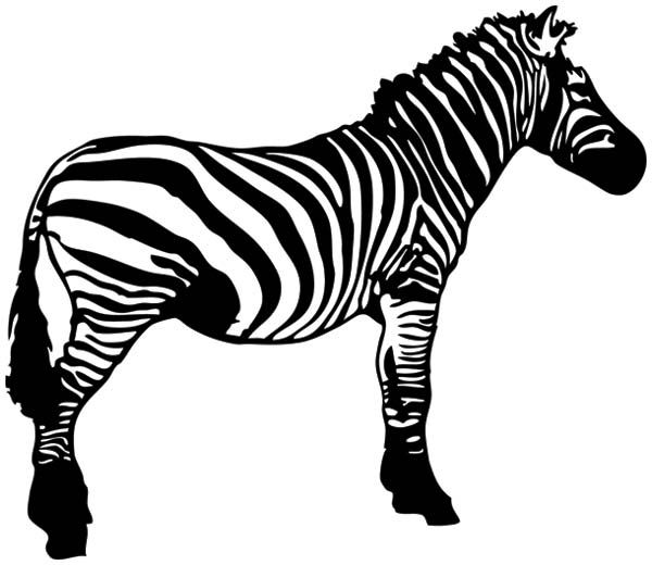 Zebra clipart black and white