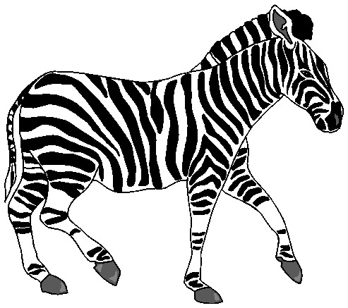 Zebra clipart free clipart image