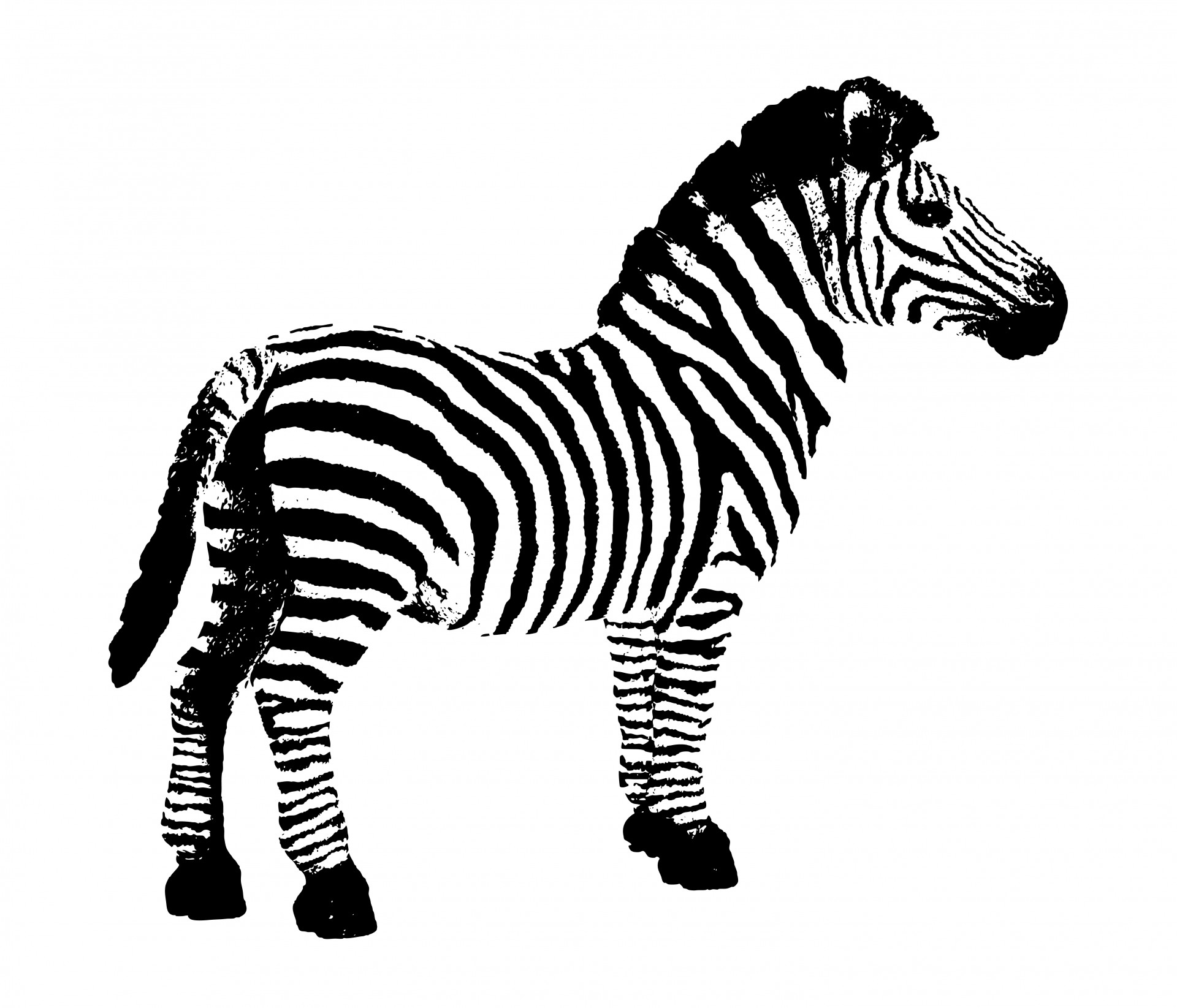 Cute zebra clipart free 