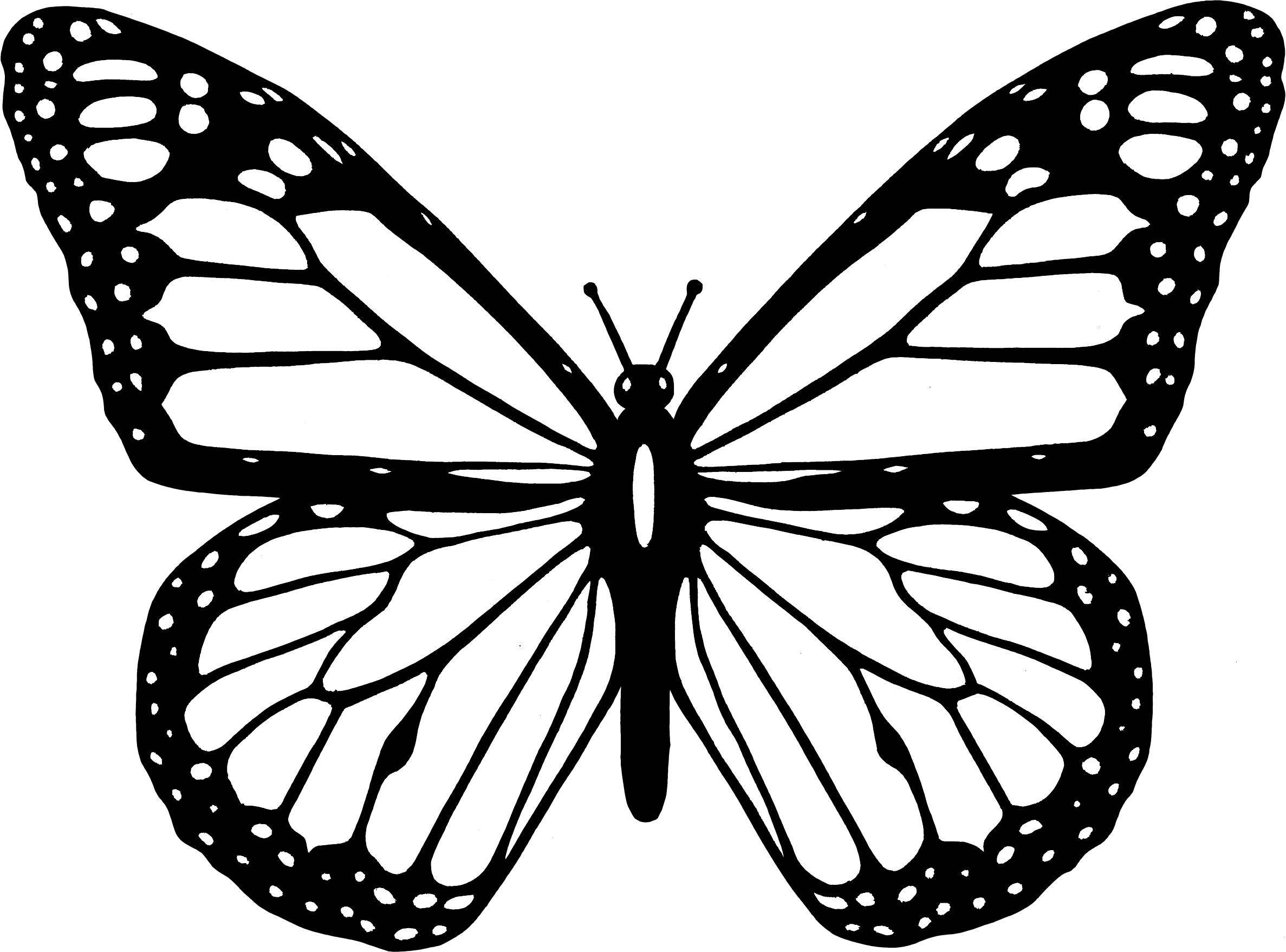 Butterfly Black And White Outline_700094