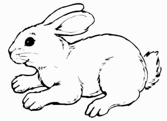 black and white bunny clipart - Clip Art Library