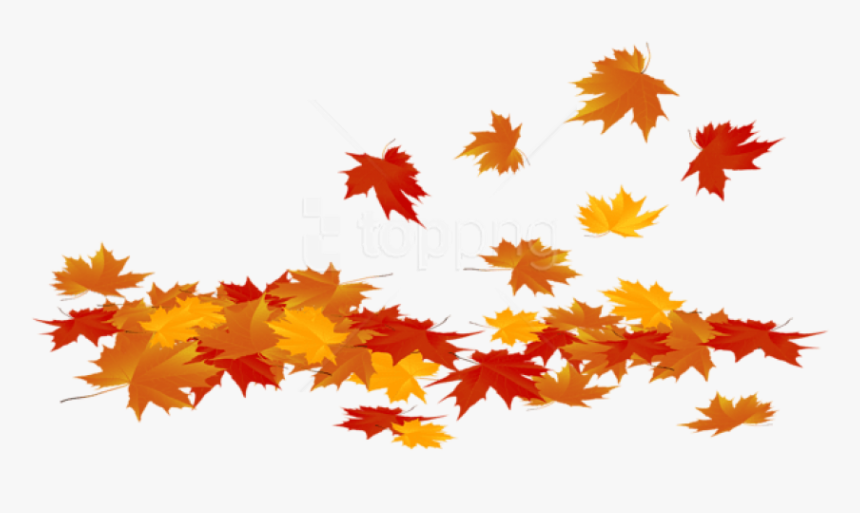 Free Fall Leaves Clipart Download Free Fall Leaves Clipart Png Images Free ClipArts On Clipart 