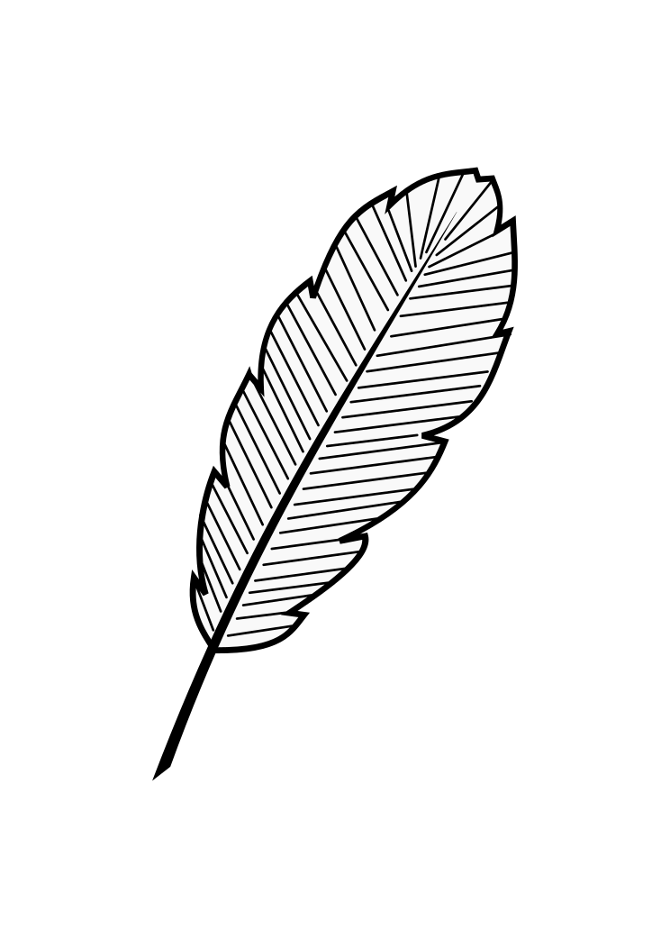 feathers - Clip Art Library