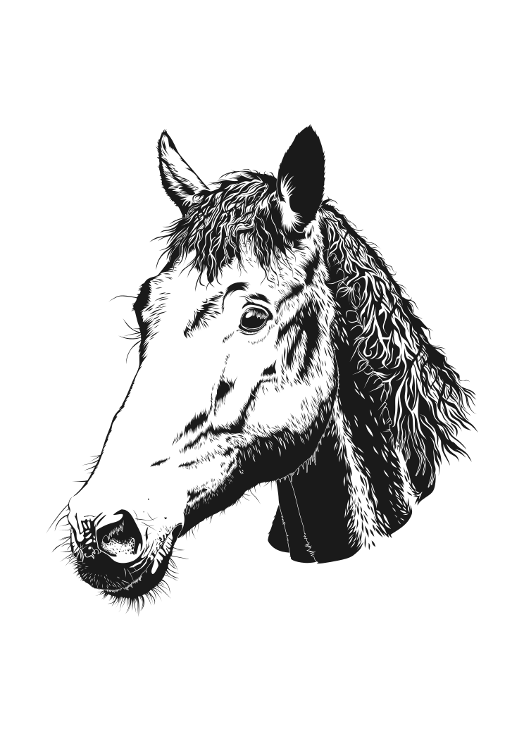 Monochrome stylized illustration of a horse’s head in profile, with textured mane and expressive eye against black background.