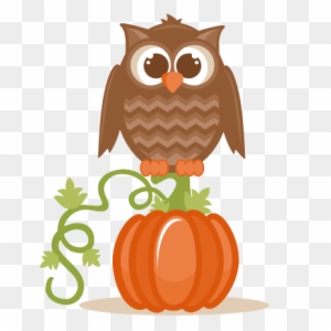 Cute cartoon owl perched on a bright orange pumpkin with green vine, autumn harvest theme.