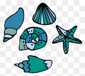 Hand-drawn colorful seashells and a starfish on transparent background, including conch, spiral shell, and bivalve.
