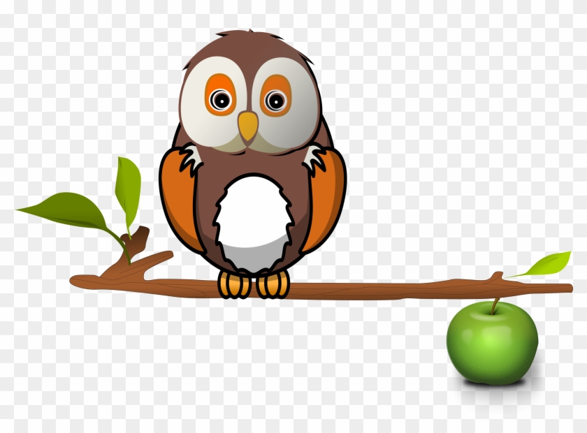 Cartoon owl perched on a branch with a green apple balanced below, on transparent background.