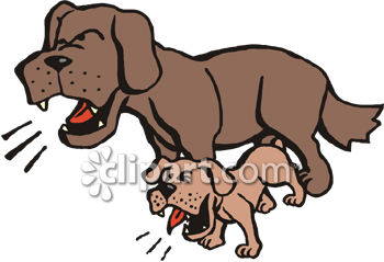 Angry adult dog snarling protectively over a smaller growling puppy, both showing teeth and aggression.