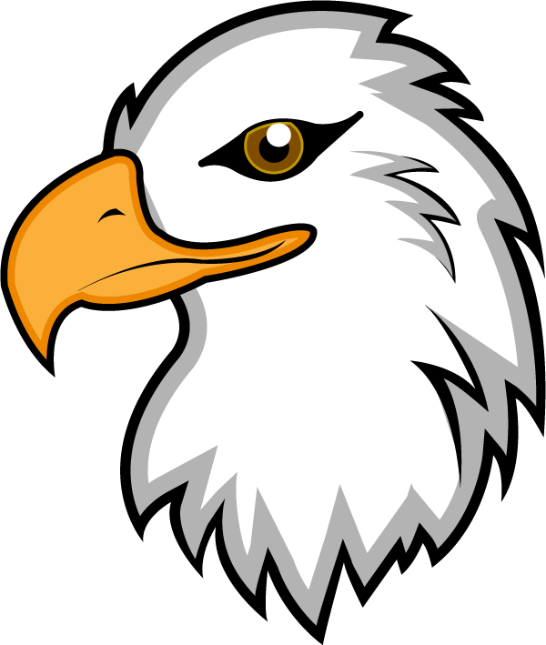 Bald Eagle Illustration - Free Vector Graphic for Wildlife & Patriotism Themes