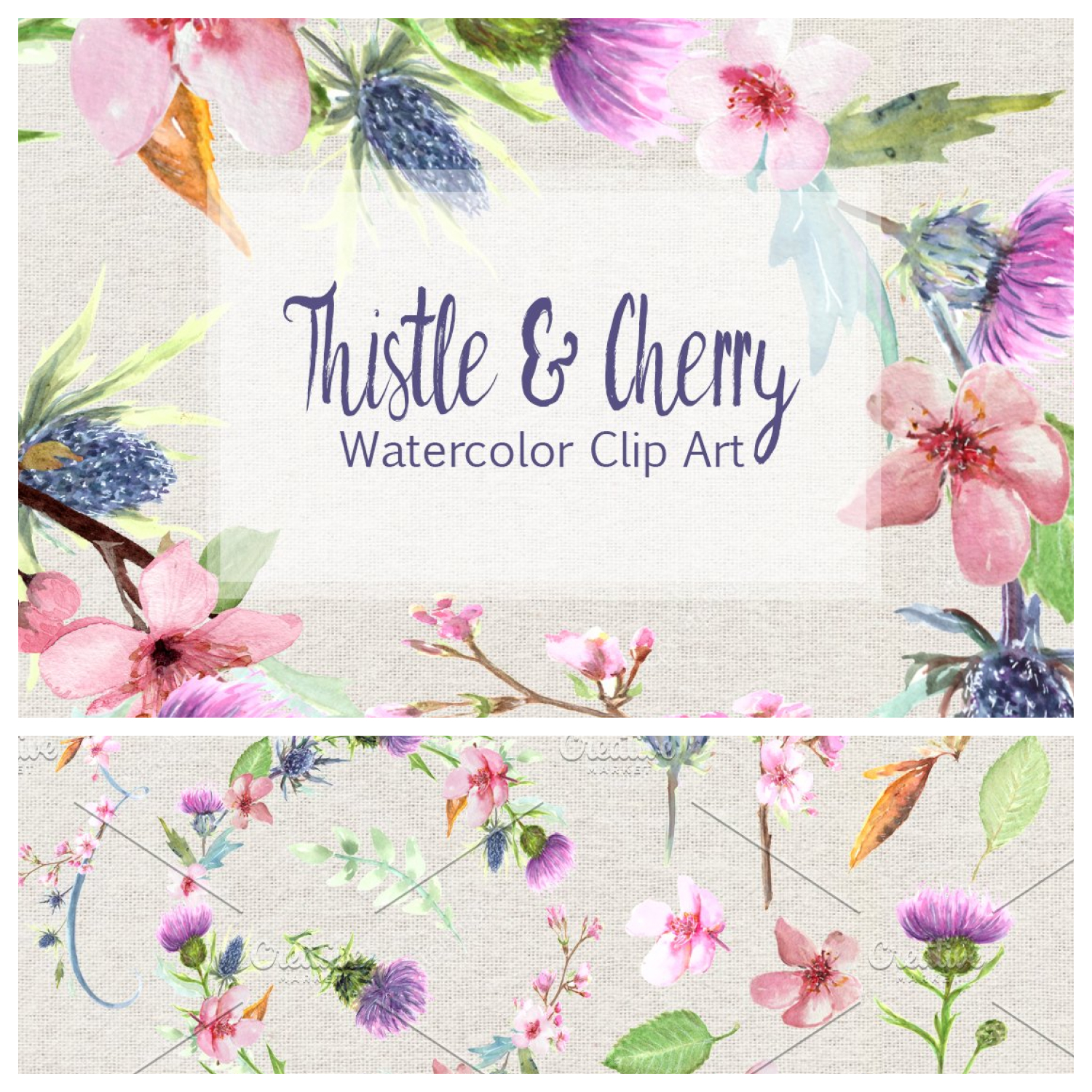 Thistle & Cherry Watercolor Clip Art - Elegant Botanical Illustrations