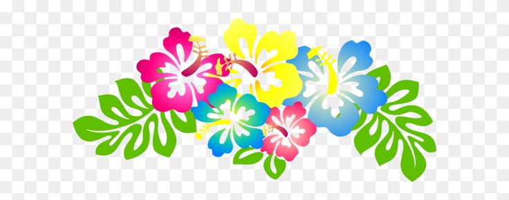 Vibrant tropical hibiscus flowers in pink, yellow, blue, and green on transparent background.