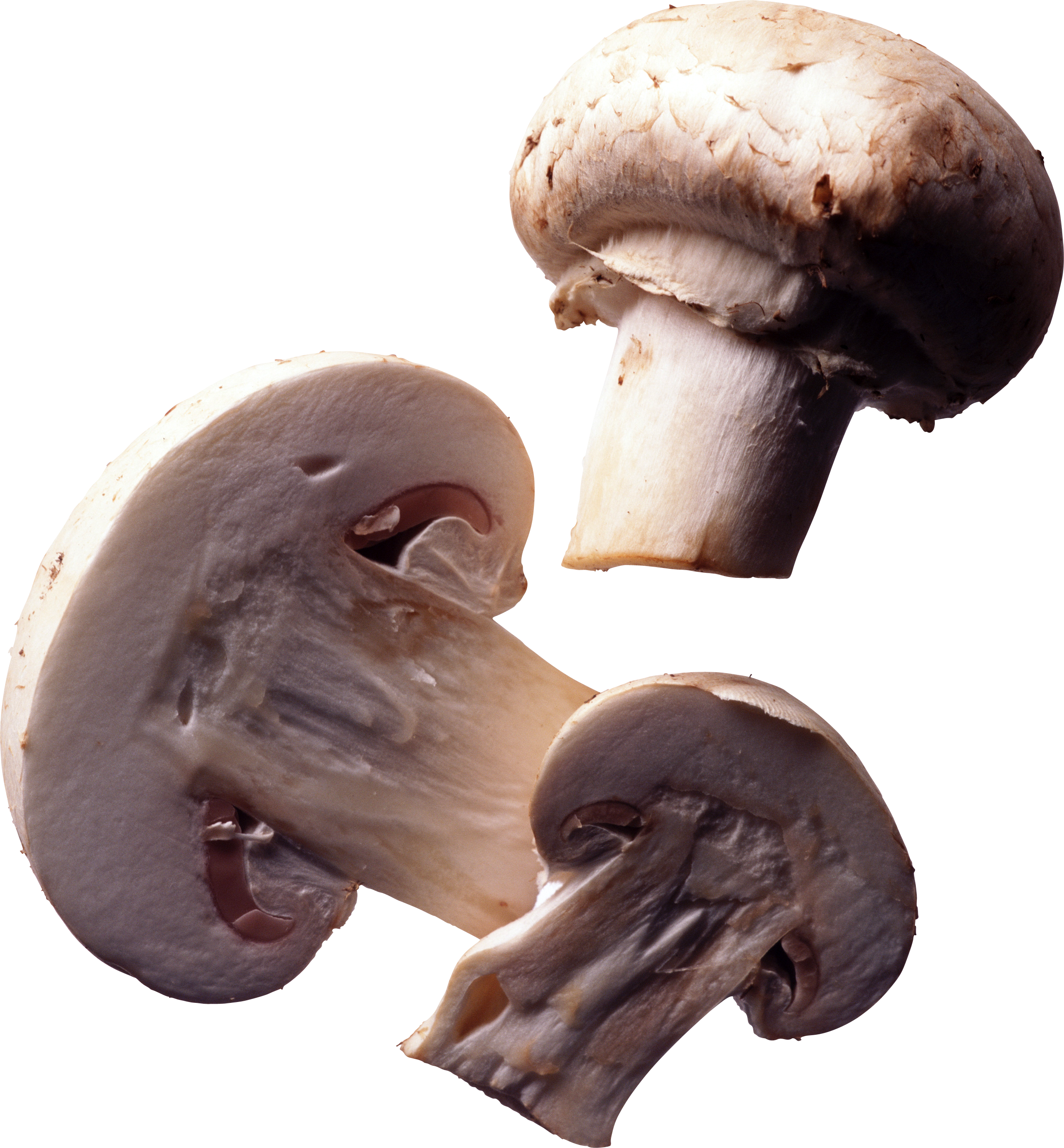 Three fresh white button mushrooms-whole, halved, and sliced-showing cap texture, gills, and stem details against a clean white background.