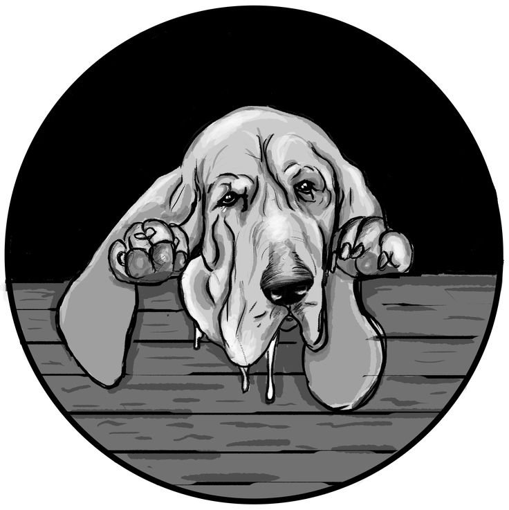 Sad Basset Hound Illustration - Emotional Dog Art for Pet Lovers