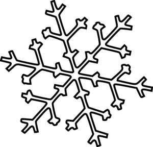 A stylized white snowflake with six symmetrical arms and intricate branching patterns on a black background.