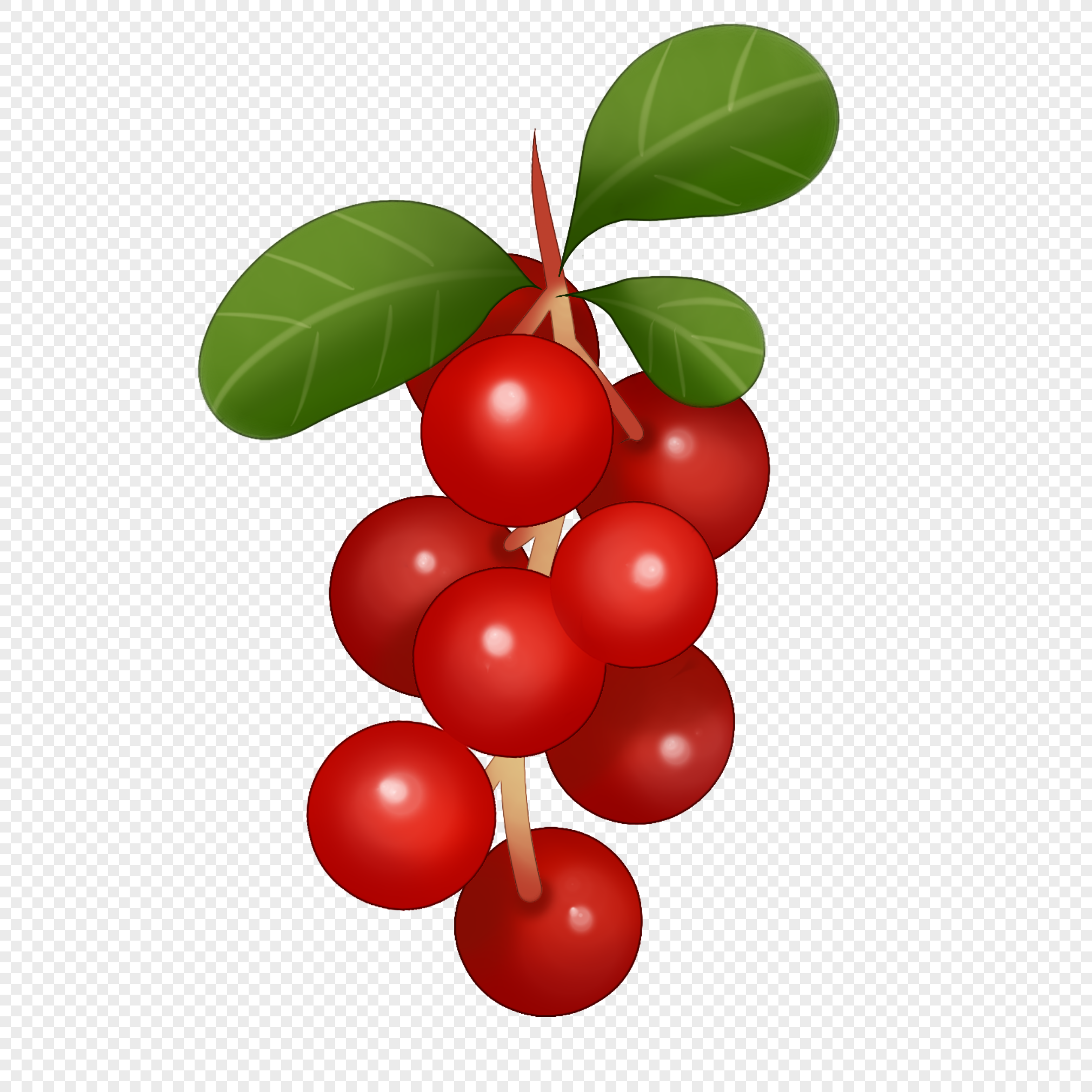 A cluster of glossy red berries with green leaves on a transparent background.