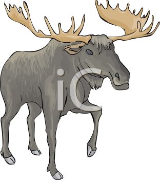 moose chefs - Clip Art Library