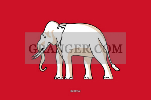 Plain Elephants - Clip Art Library